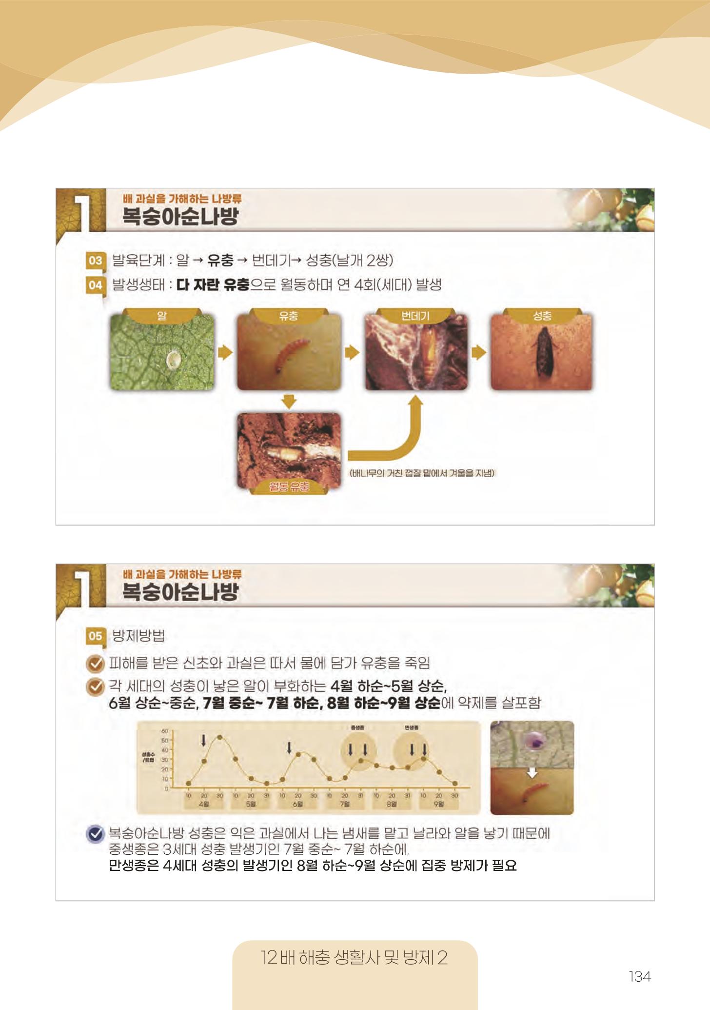 고품질 배 생산 및 수출 교육[2022] 134페이지