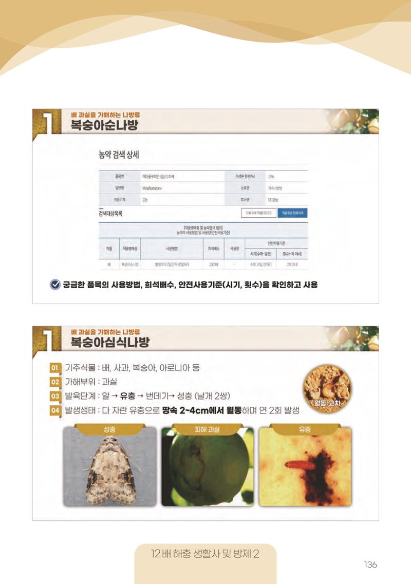 고품질 배 생산 및 수출 교육[2022] 136페이지