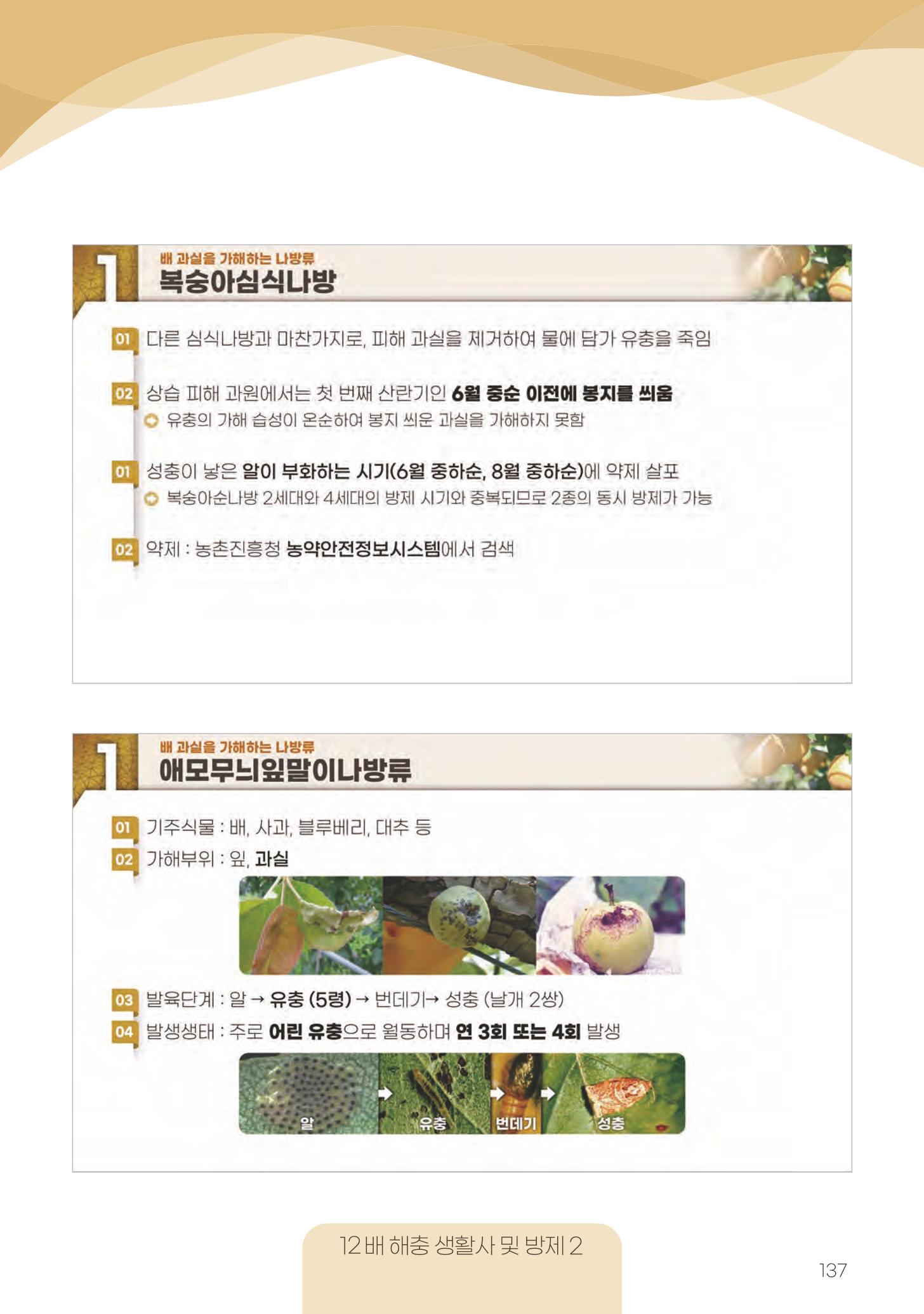 고품질 배 생산 및 수출 교육[2022] 137페이지
