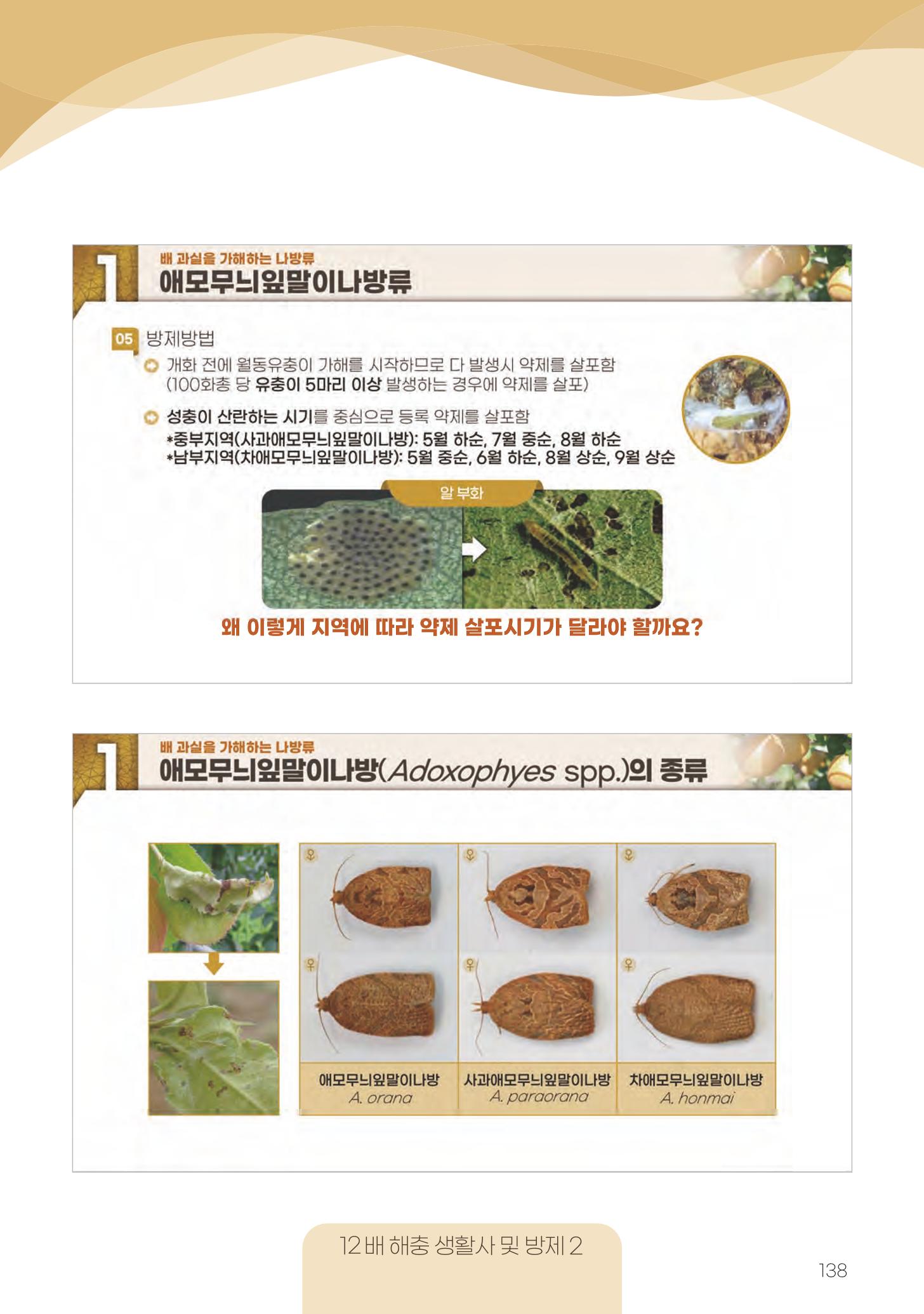 고품질 배 생산 및 수출 교육[2022] 138페이지