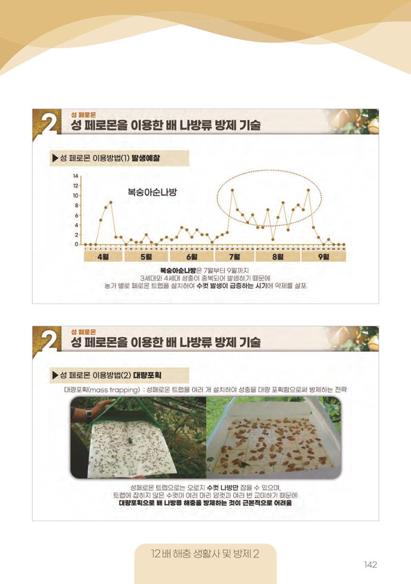 고품질 배 생산 및 수출 교육[2022] 142페이지