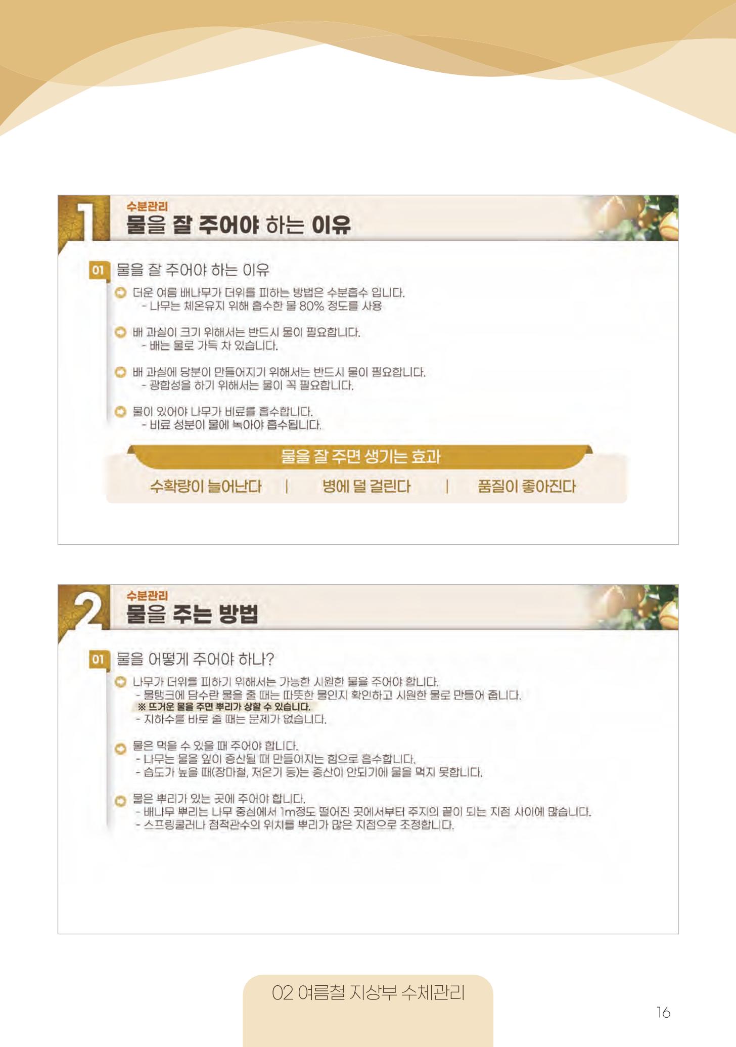 고품질 배 생산 및 수출 교육[2022] 16페이지