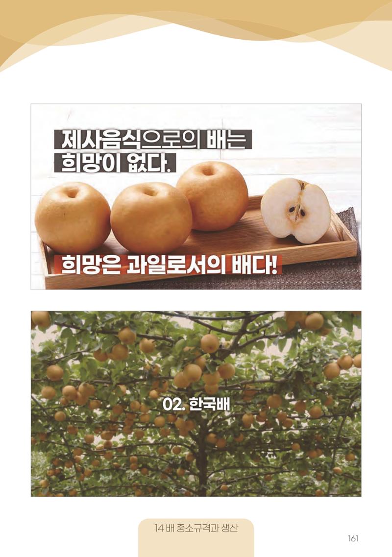 고품질 배 생산 및 수출 교육[2022] 161페이지