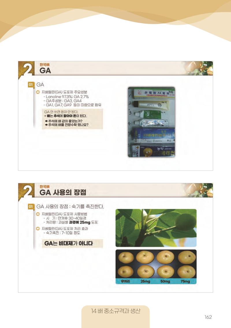고품질 배 생산 및 수출 교육[2022] 162페이지