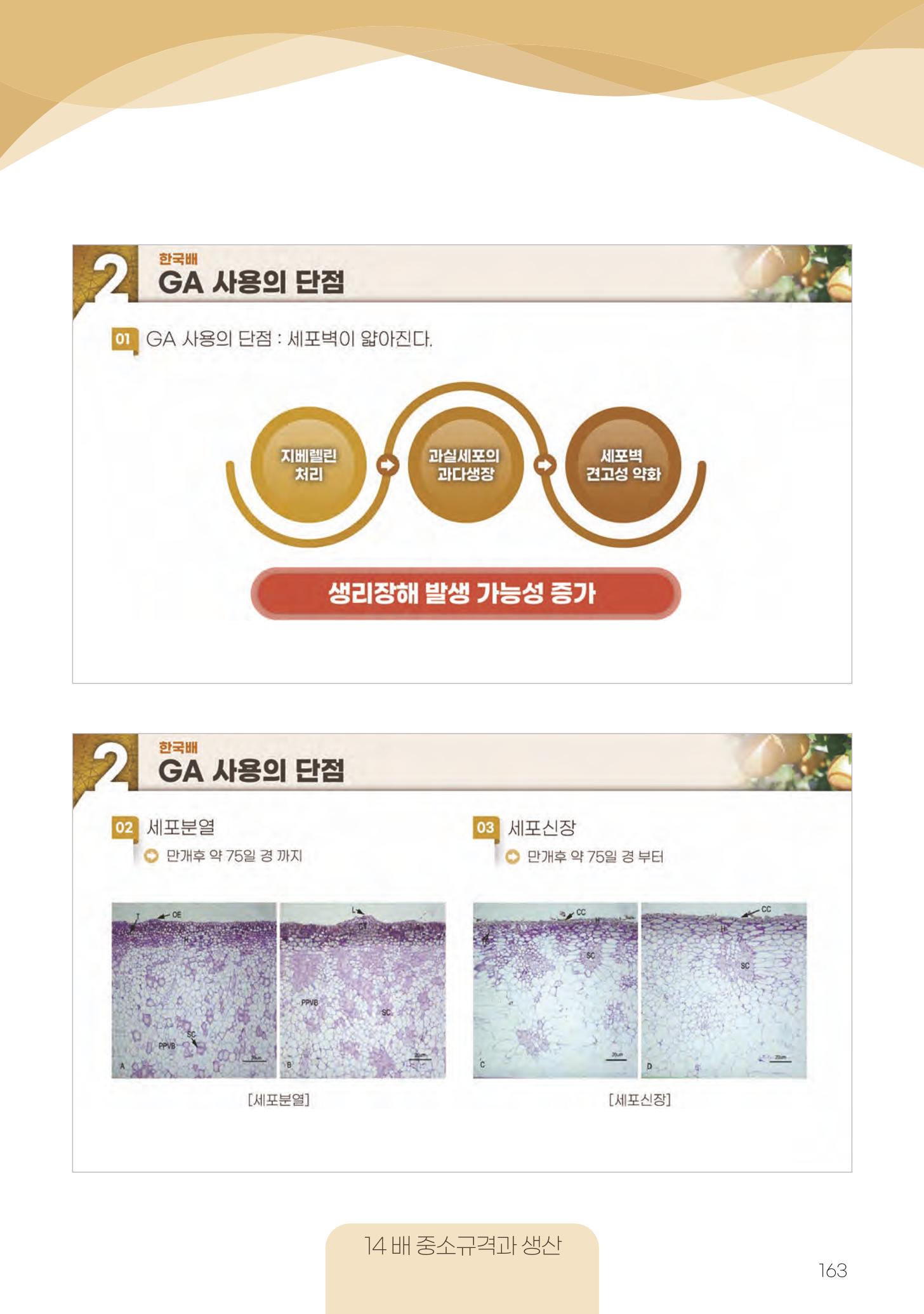 고품질 배 생산 및 수출 교육[2022] 163페이지
