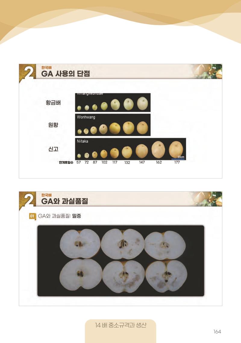 고품질 배 생산 및 수출 교육[2022] 164페이지