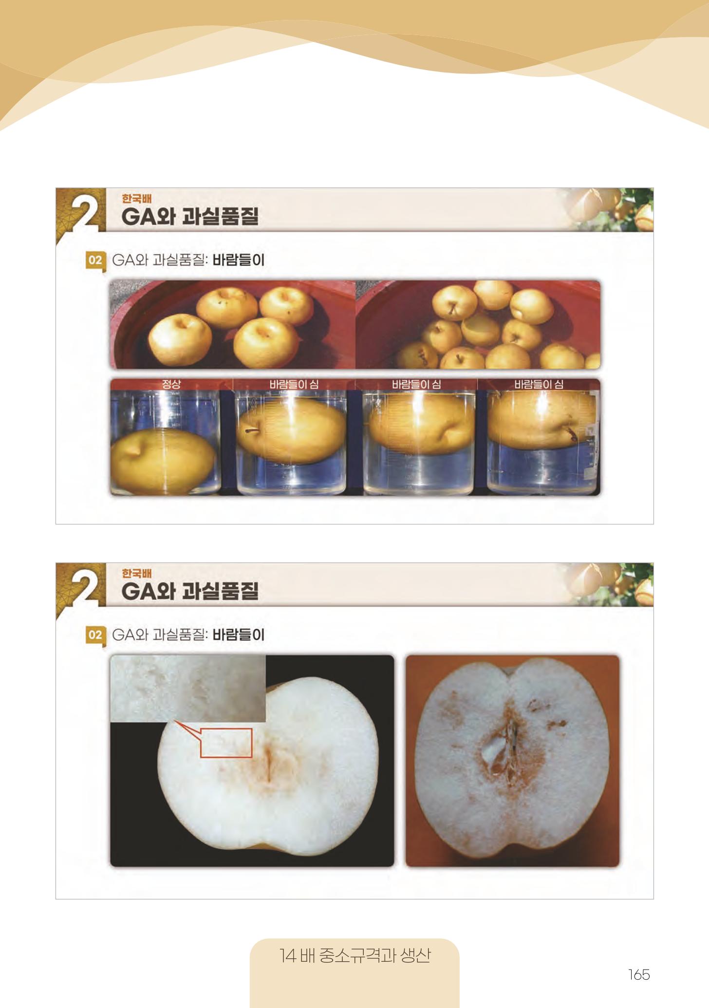 고품질 배 생산 및 수출 교육[2022] 165페이지