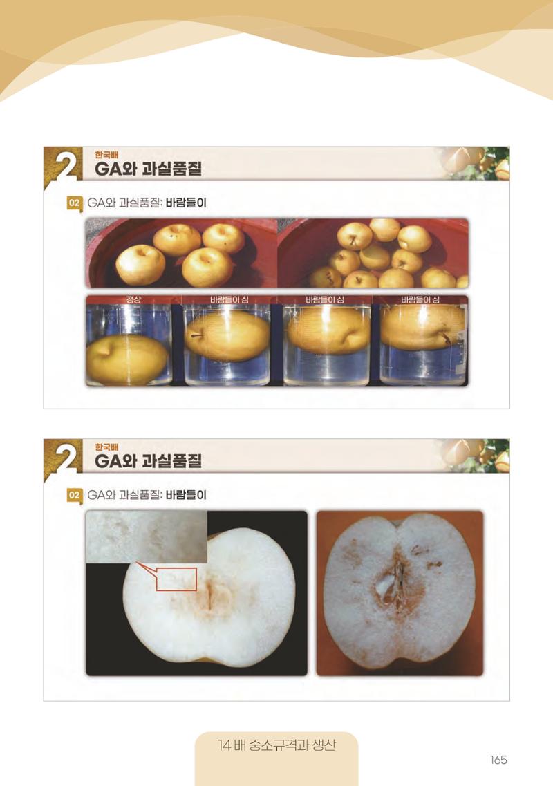 고품질 배 생산 및 수출 교육[2022] 165페이지