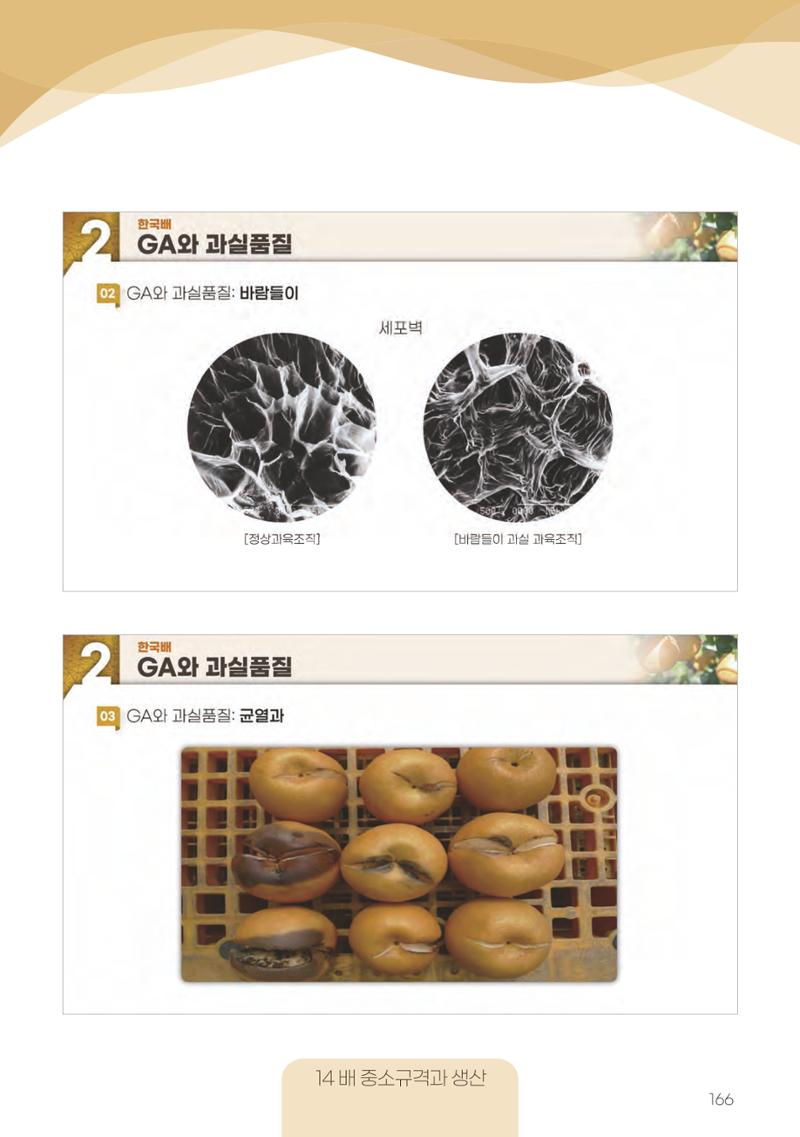 고품질 배 생산 및 수출 교육[2022] 166페이지