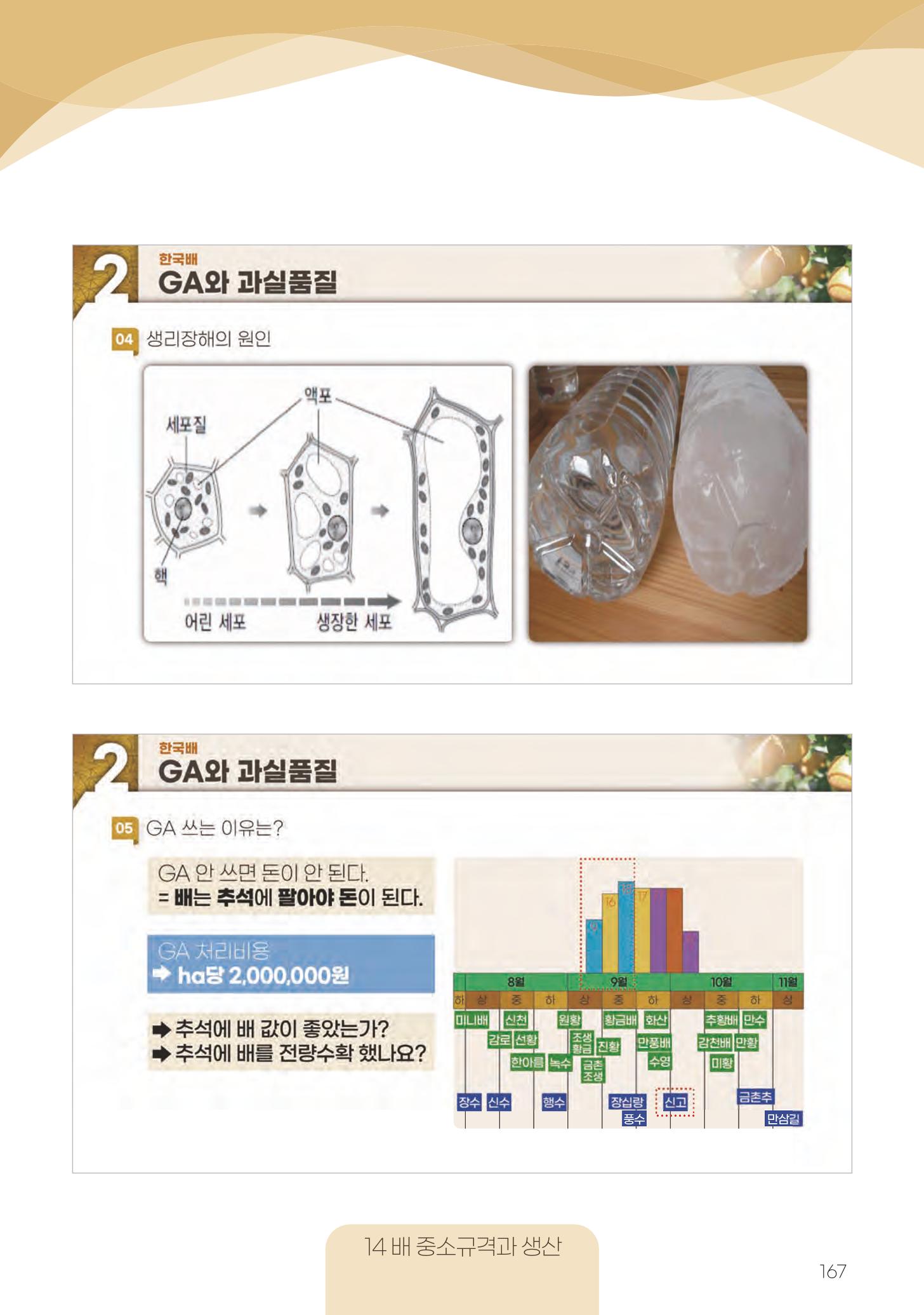 고품질 배 생산 및 수출 교육[2022] 167페이지