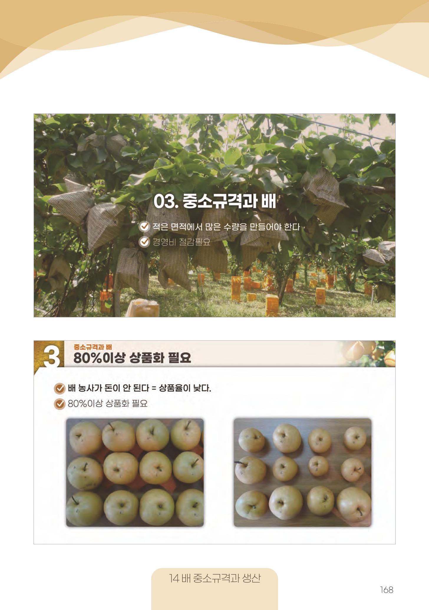 고품질 배 생산 및 수출 교육[2022] 168페이지