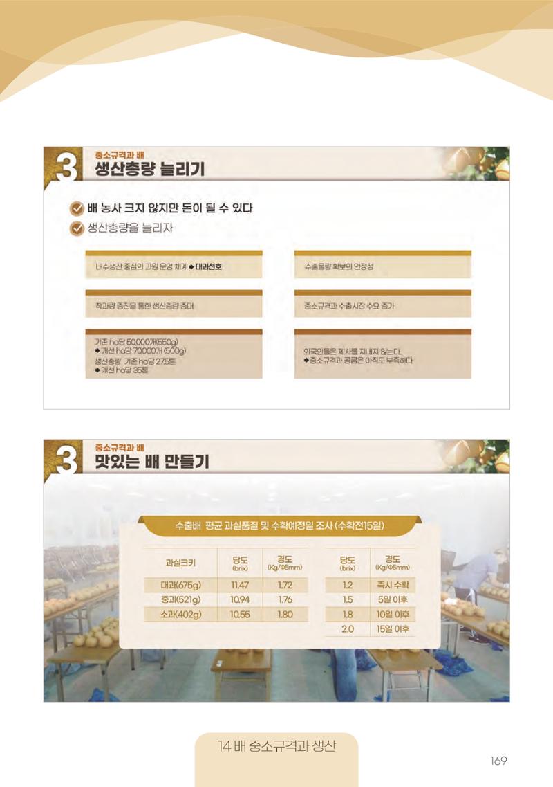 고품질 배 생산 및 수출 교육[2022] 169페이지
