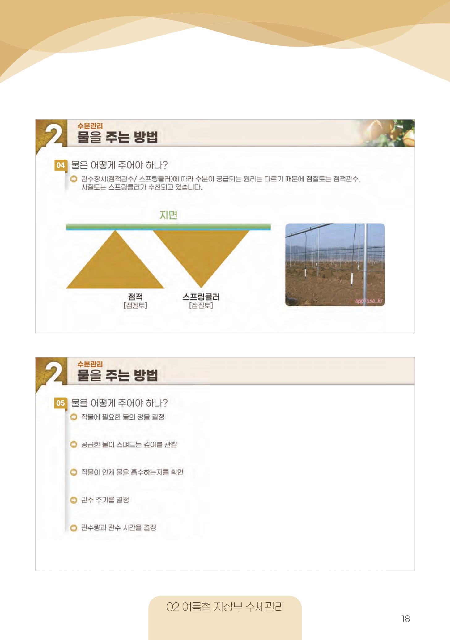 고품질 배 생산 및 수출 교육[2022] 18페이지