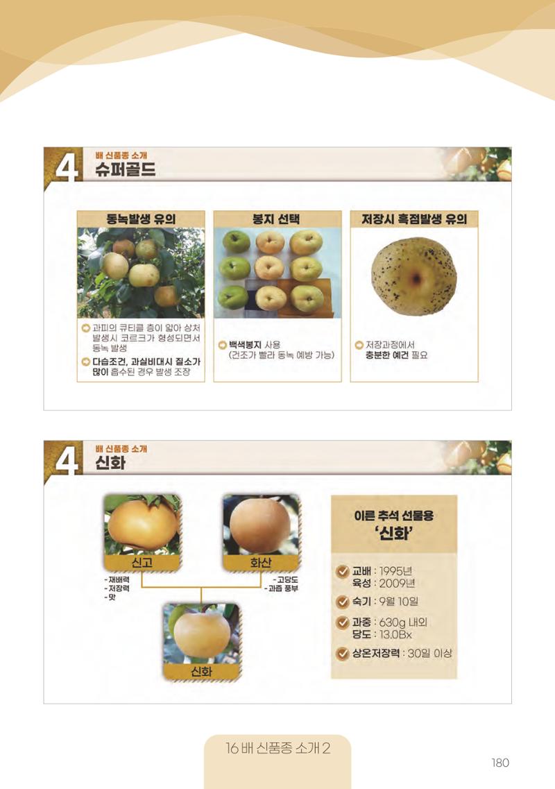 고품질 배 생산 및 수출 교육[2022] 180페이지