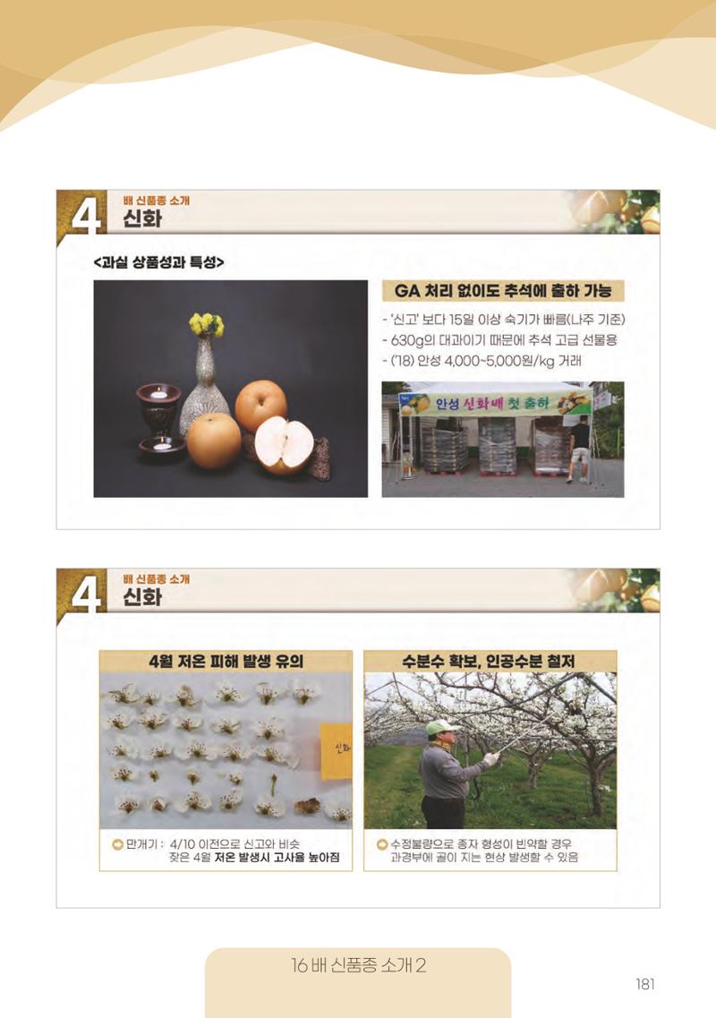 고품질 배 생산 및 수출 교육[2022] 181페이지