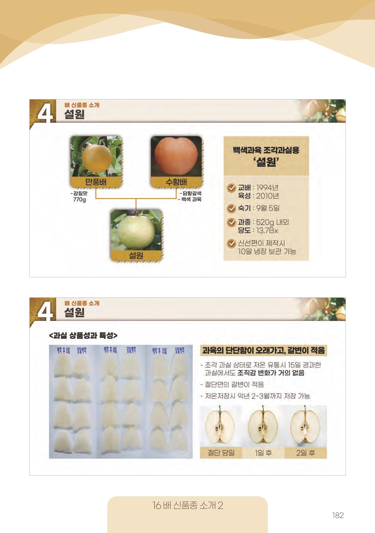 고품질 배 생산 및 수출 교육[2022] 182페이지
