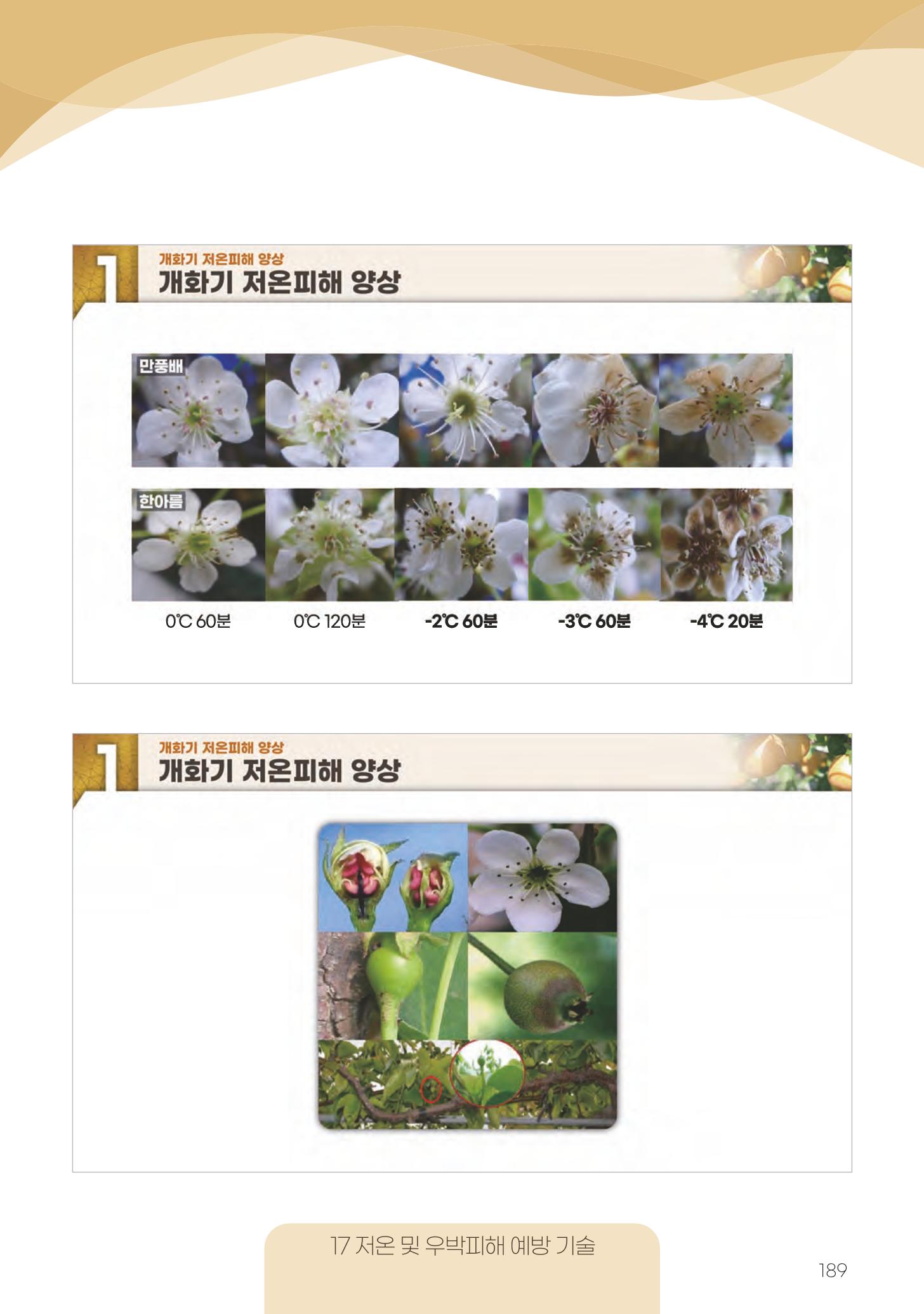 고품질 배 생산 및 수출 교육[2022] 189페이지