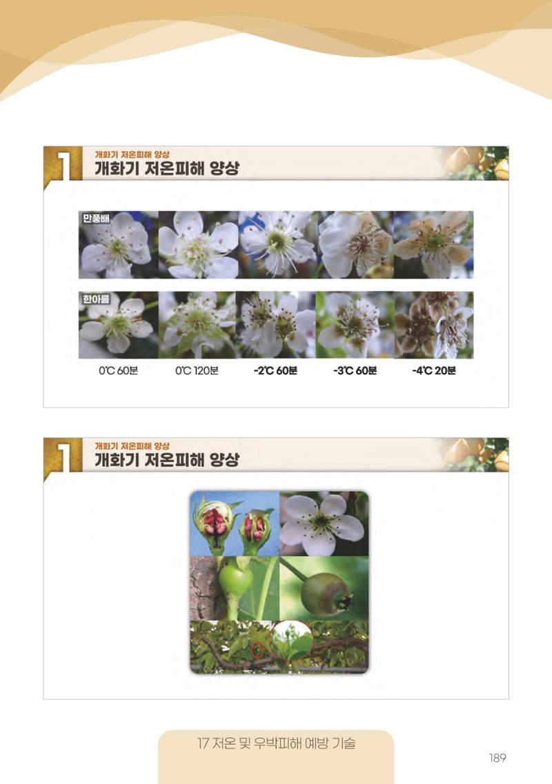 고품질 배 생산 및 수출 교육[2022] 189페이지