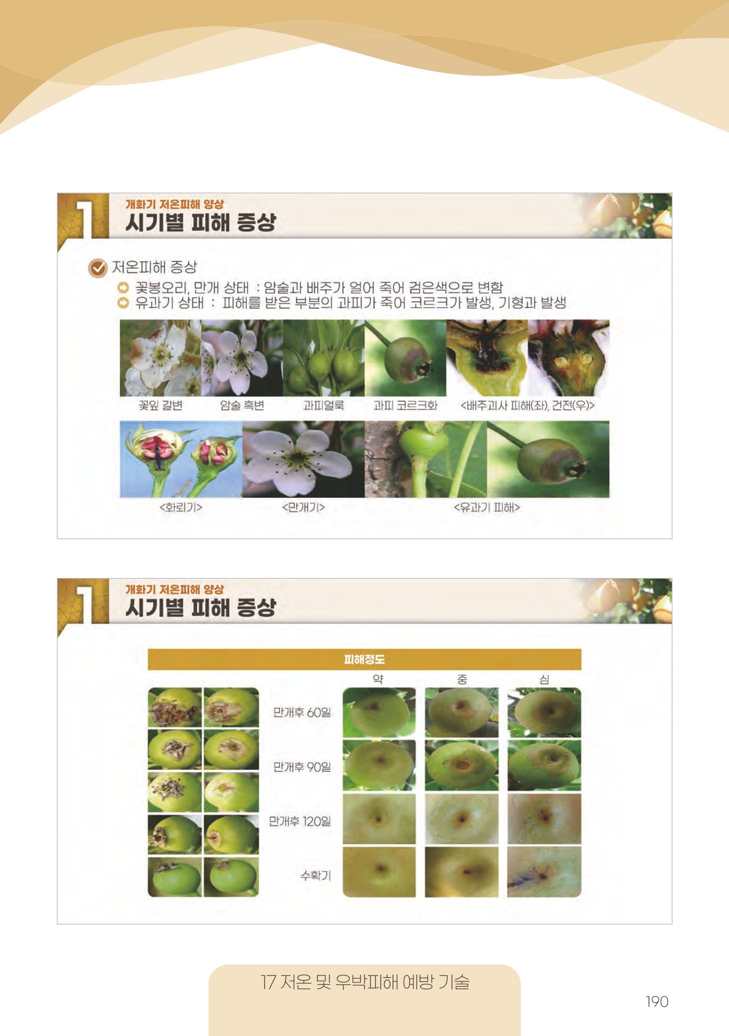 고품질 배 생산 및 수출 교육[2022] 190페이지