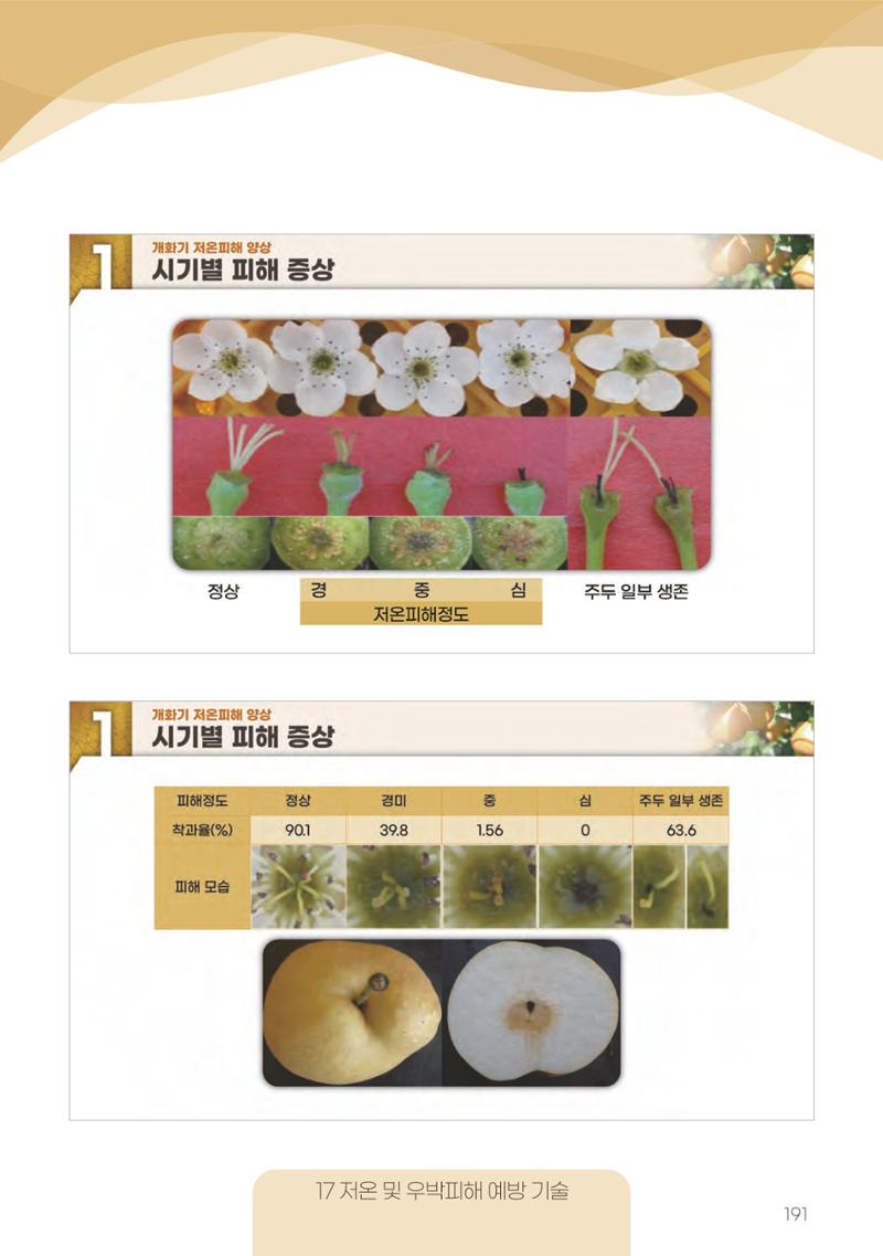 고품질 배 생산 및 수출 교육[2022] 191페이지