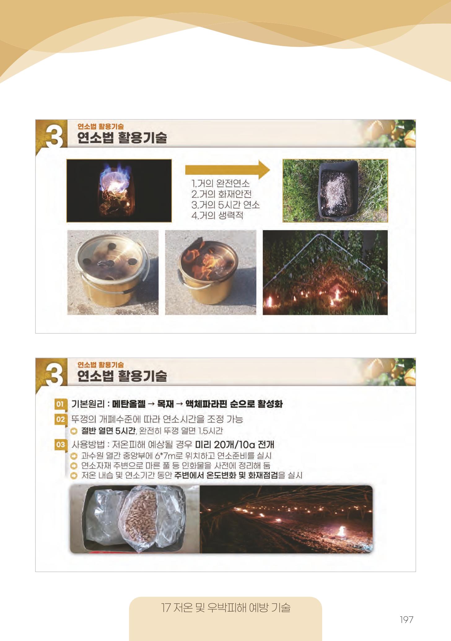고품질 배 생산 및 수출 교육[2022] 197페이지