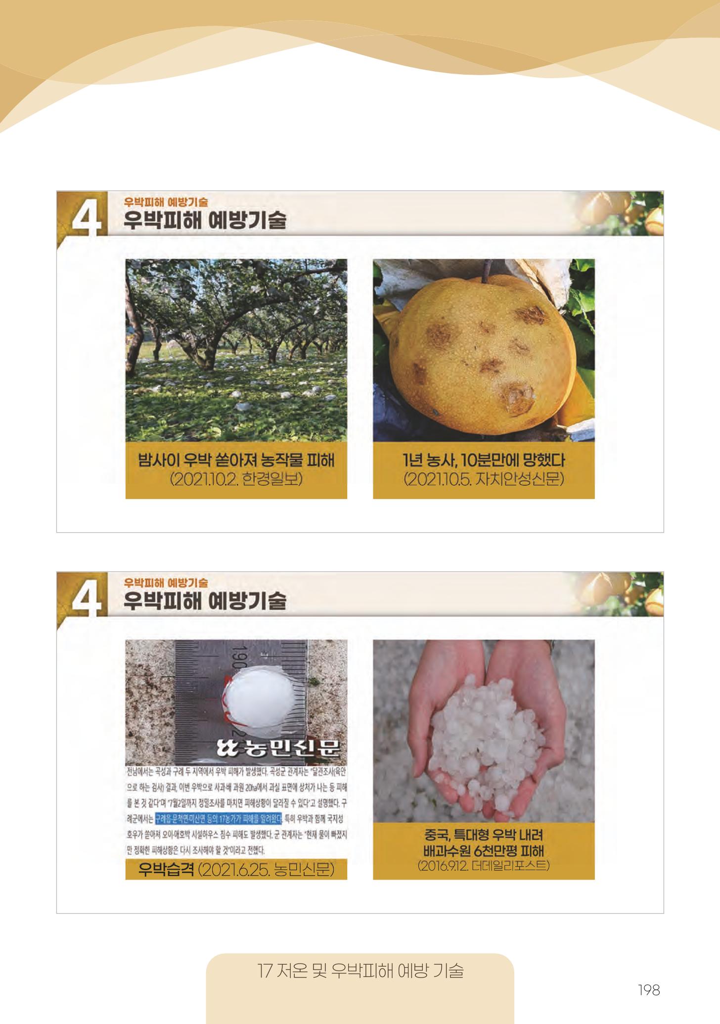 고품질 배 생산 및 수출 교육[2022] 198페이지
