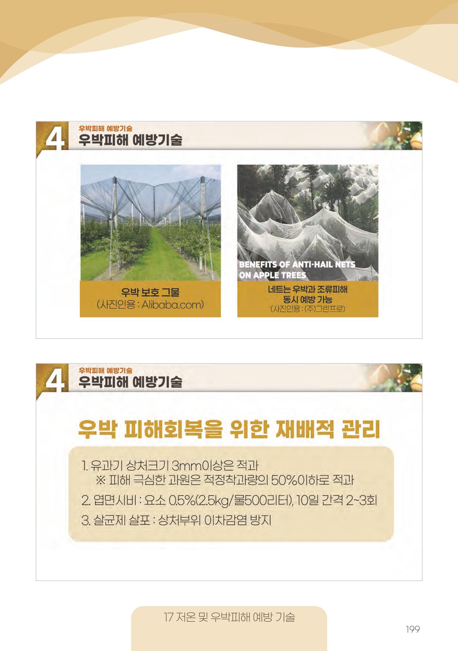 고품질 배 생산 및 수출 교육[2022] 199페이지