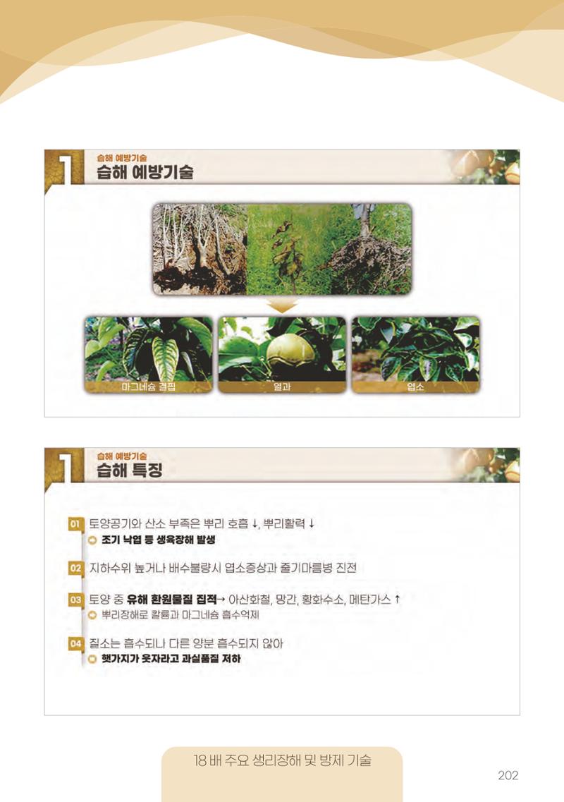 고품질 배 생산 및 수출 교육[2022] 202페이지