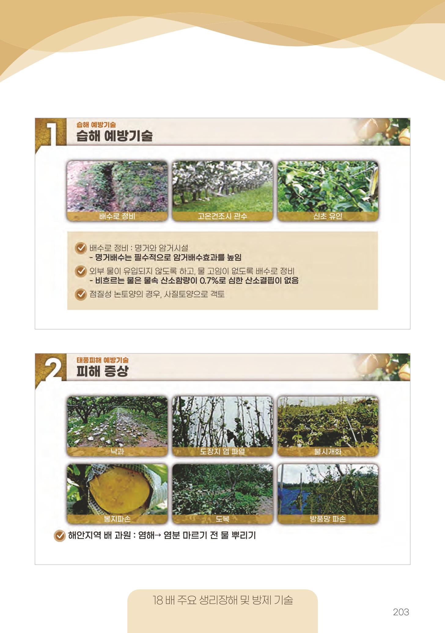 고품질 배 생산 및 수출 교육[2022] 203페이지