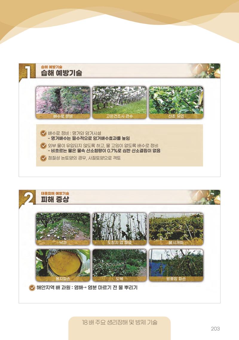 고품질 배 생산 및 수출 교육[2022] 203페이지