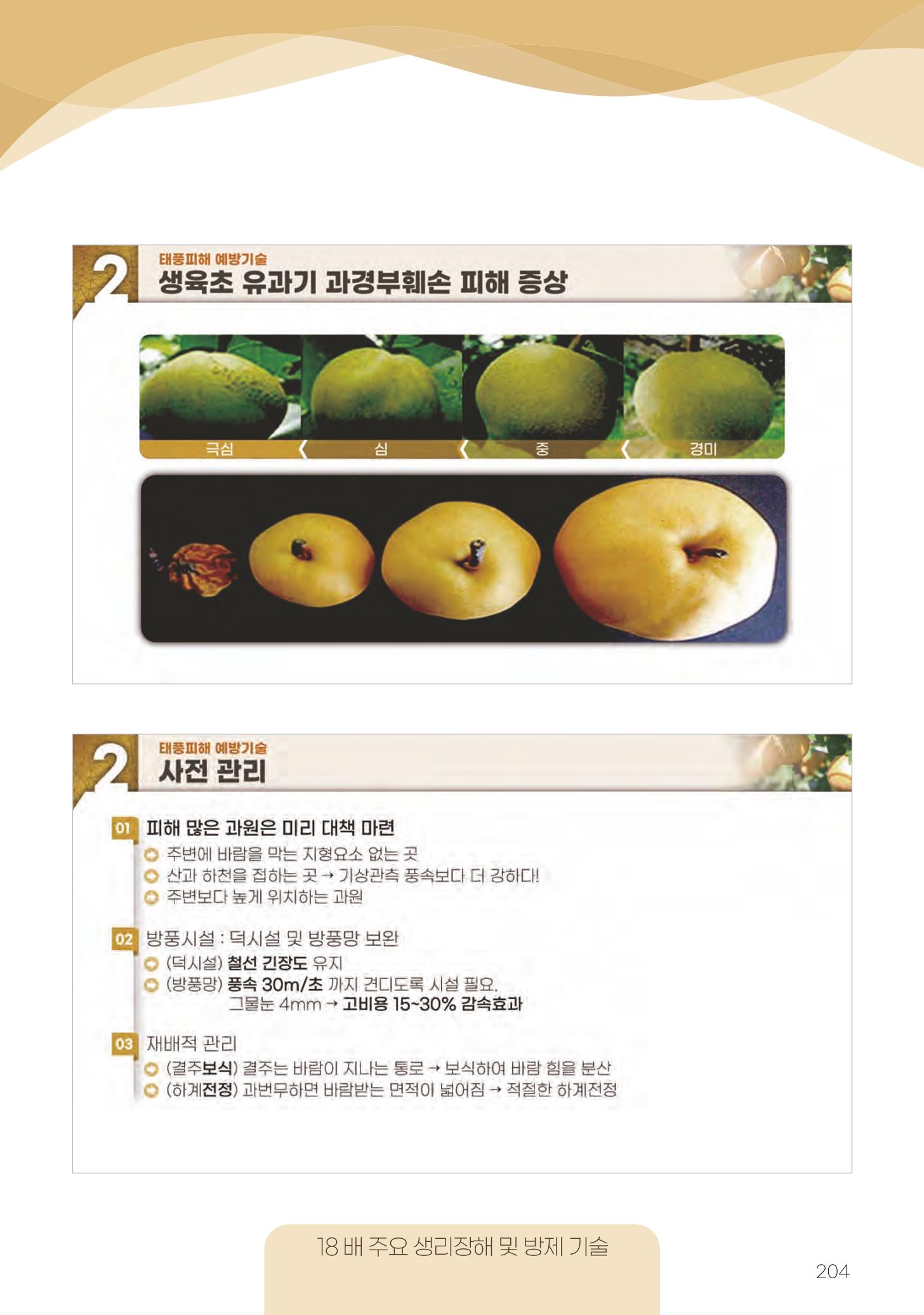 고품질 배 생산 및 수출 교육[2022] 204페이지