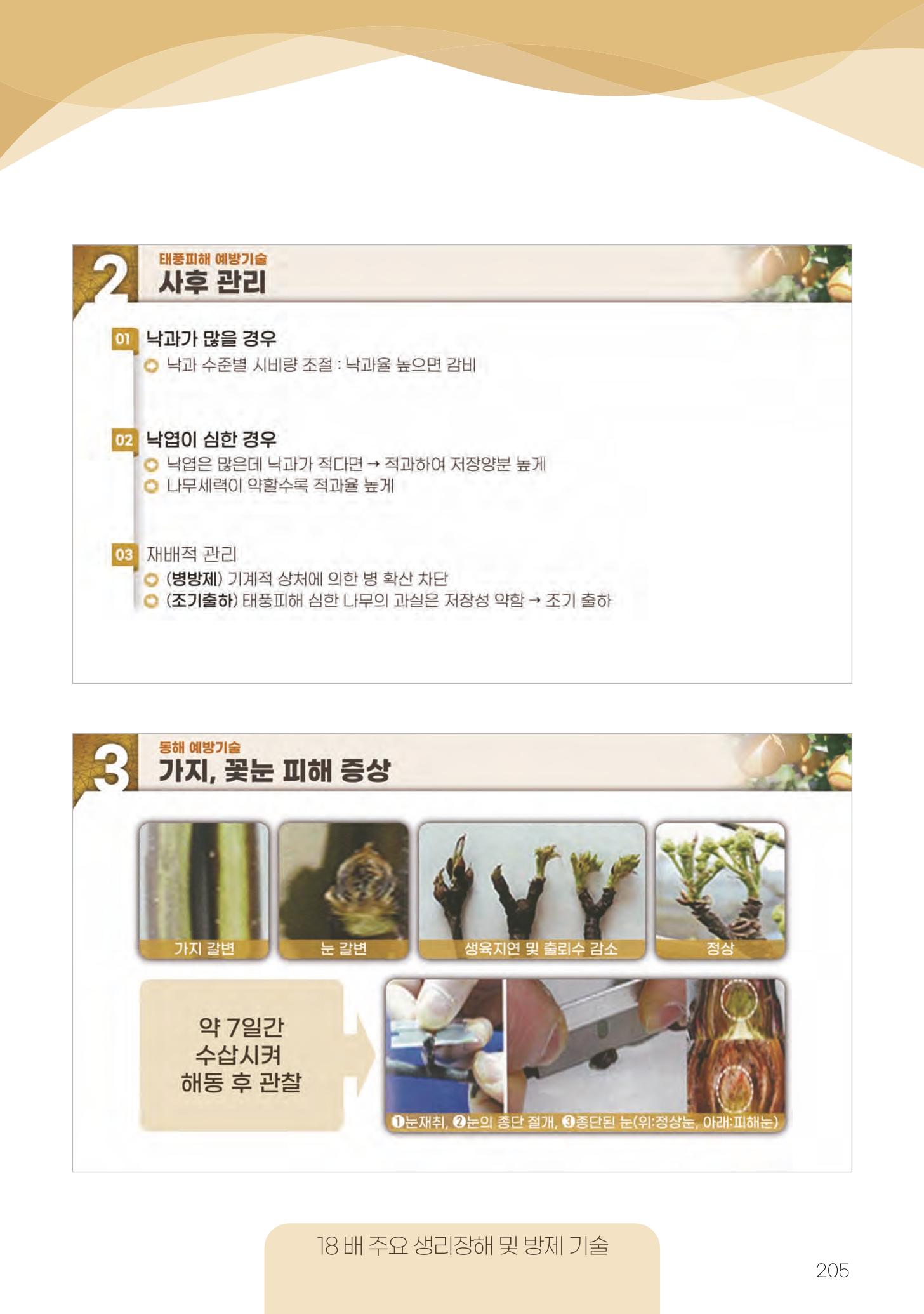 고품질 배 생산 및 수출 교육[2022] 205페이지