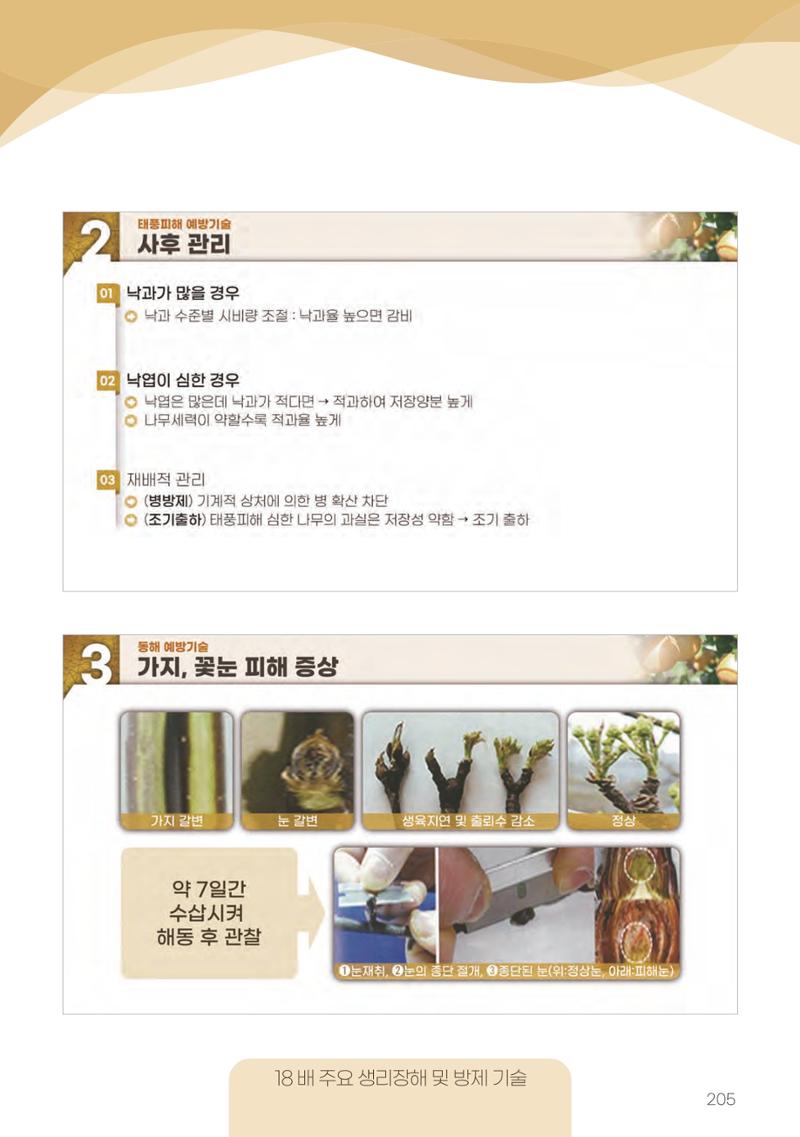 고품질 배 생산 및 수출 교육[2022] 205페이지