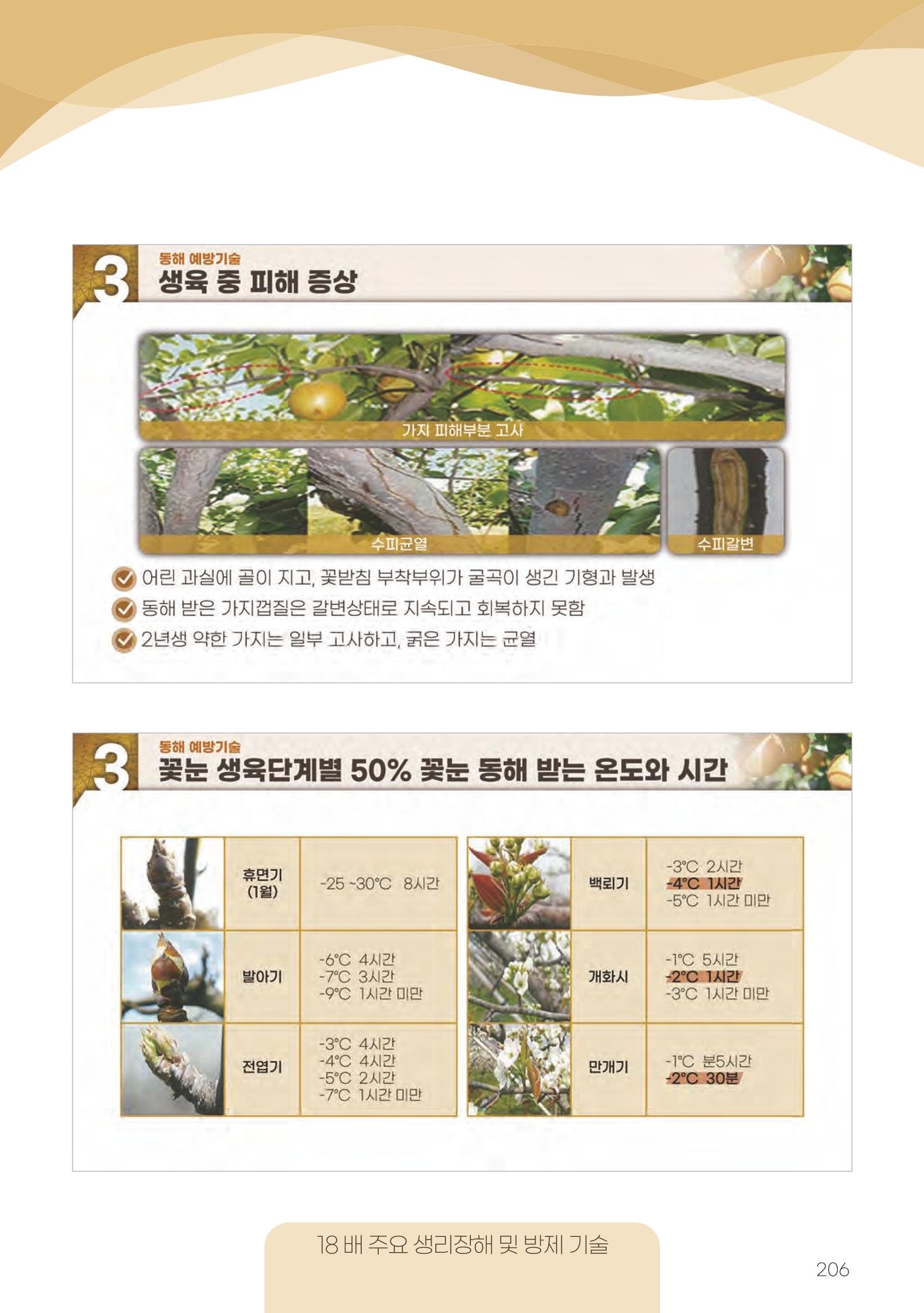 고품질 배 생산 및 수출 교육[2022] 206페이지