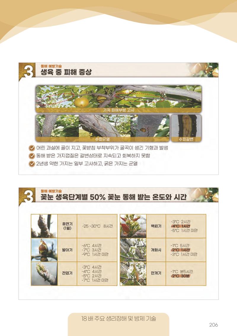 고품질 배 생산 및 수출 교육[2022] 206페이지