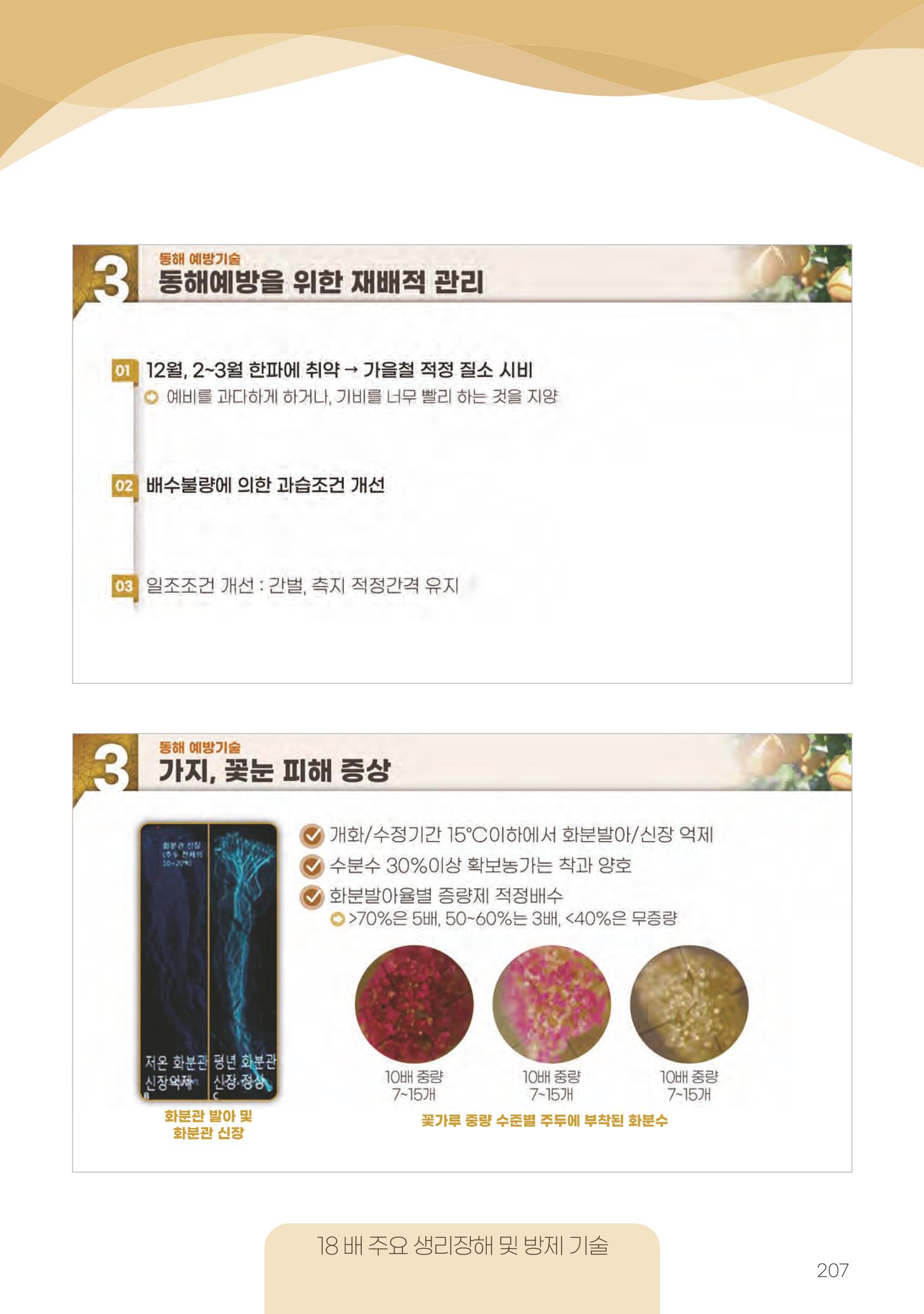 고품질 배 생산 및 수출 교육[2022] 207페이지