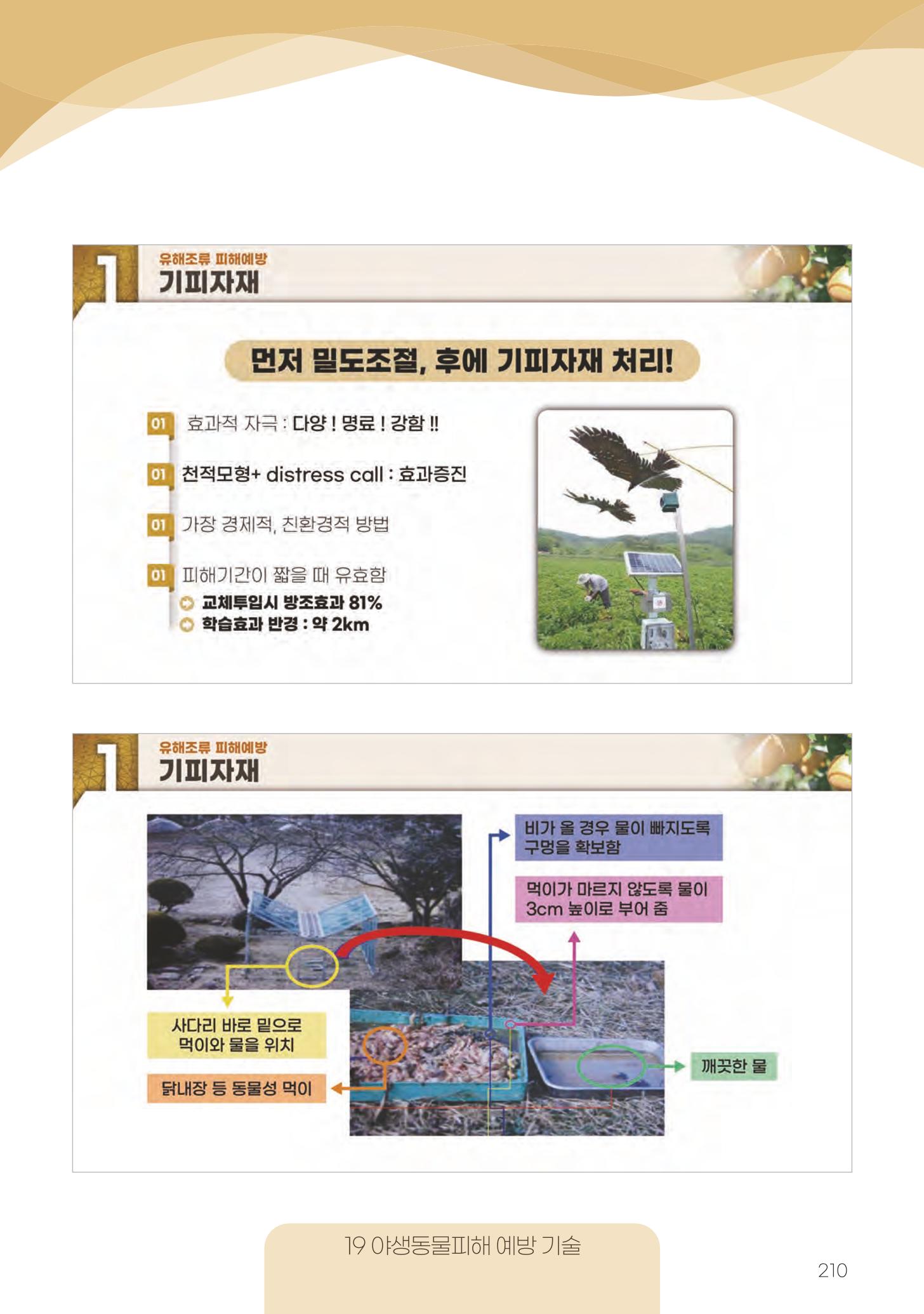 고품질 배 생산 및 수출 교육[2022] 210페이지
