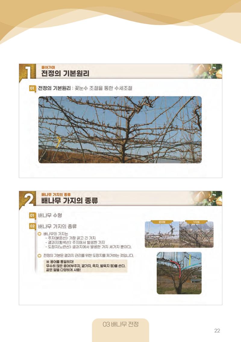 고품질 배 생산 및 수출 교육[2022] 22페이지