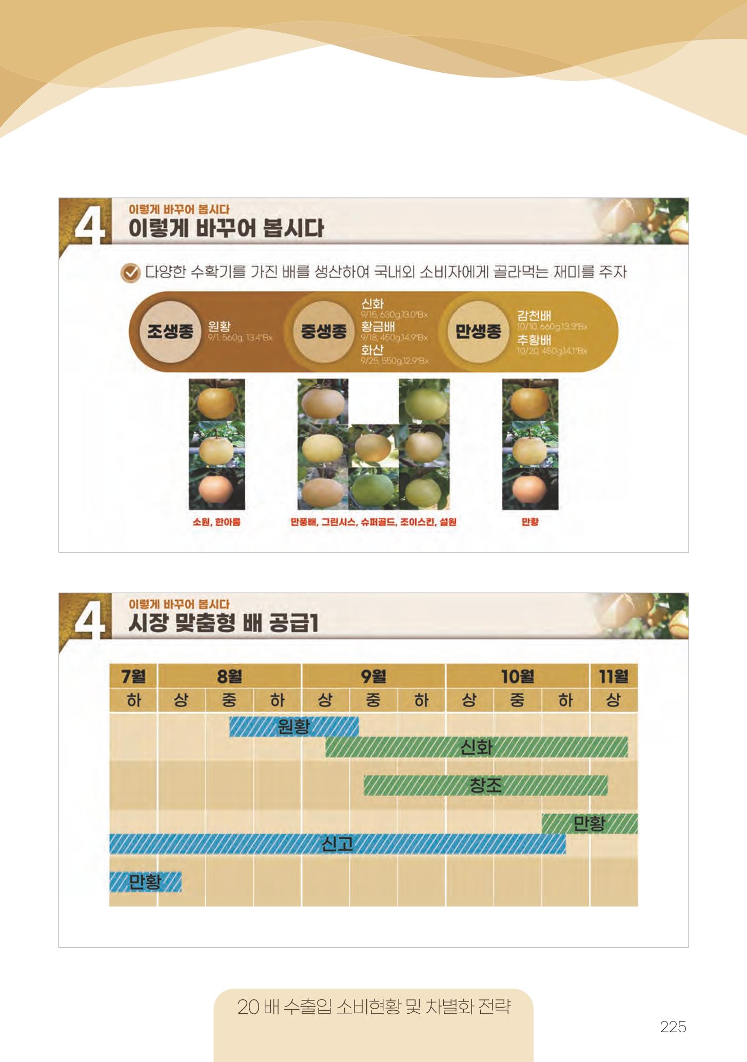 고품질 배 생산 및 수출 교육[2022] 225페이지