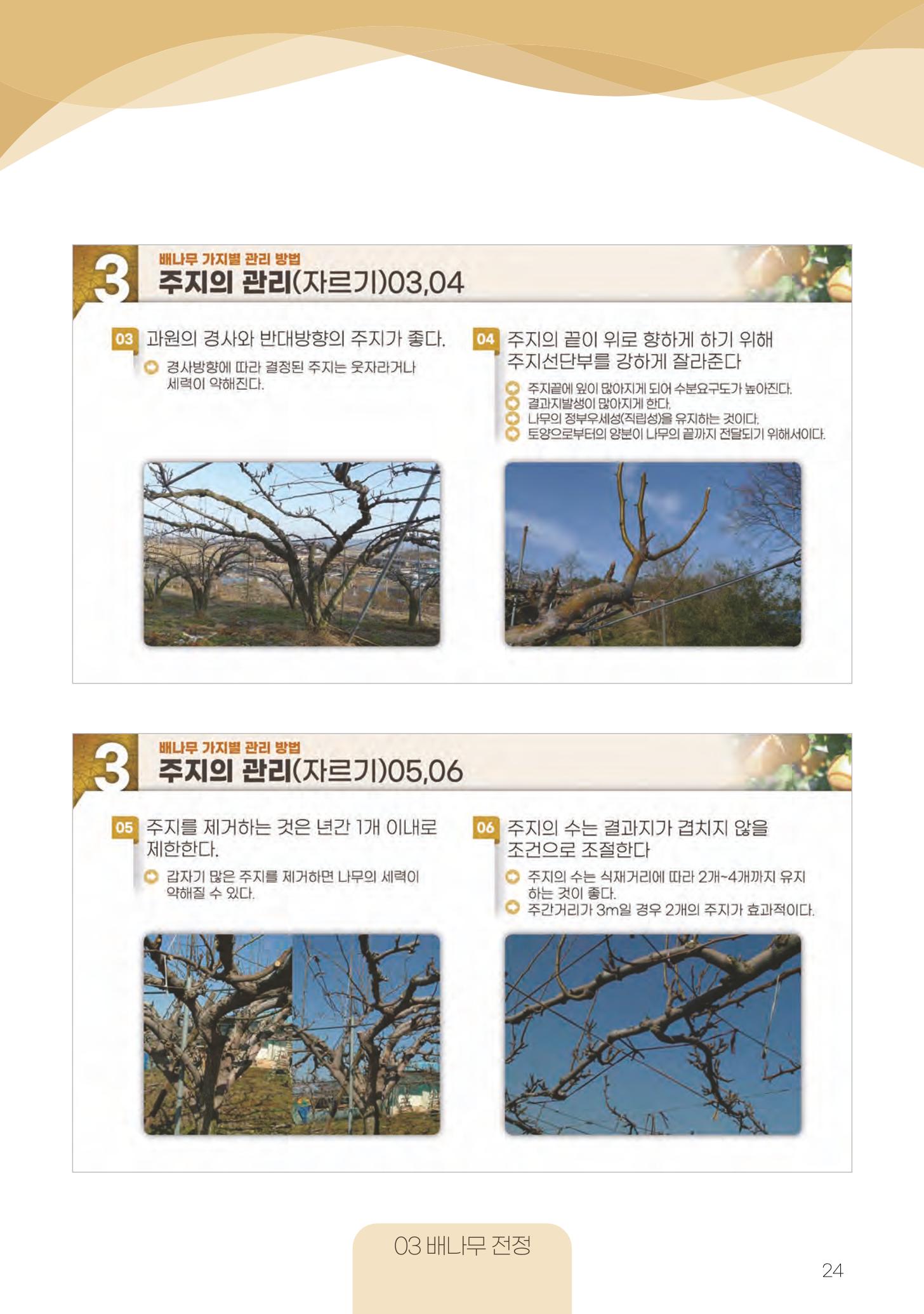 고품질 배 생산 및 수출 교육[2022] 24페이지