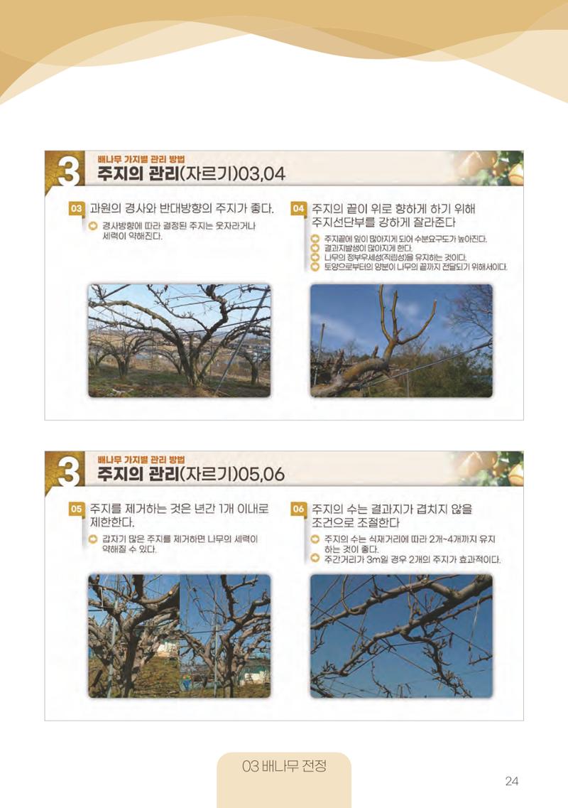 고품질 배 생산 및 수출 교육[2022] 24페이지