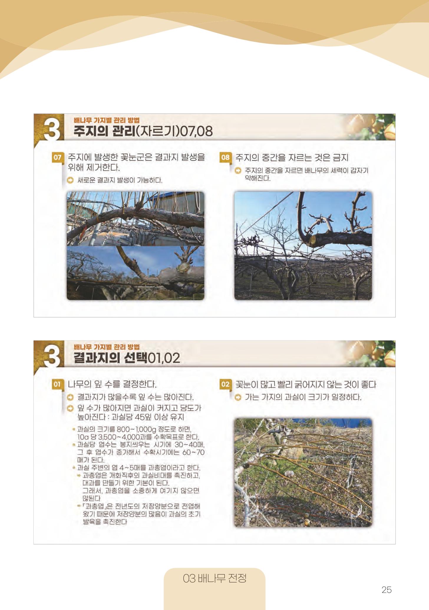 고품질 배 생산 및 수출 교육[2022] 25페이지