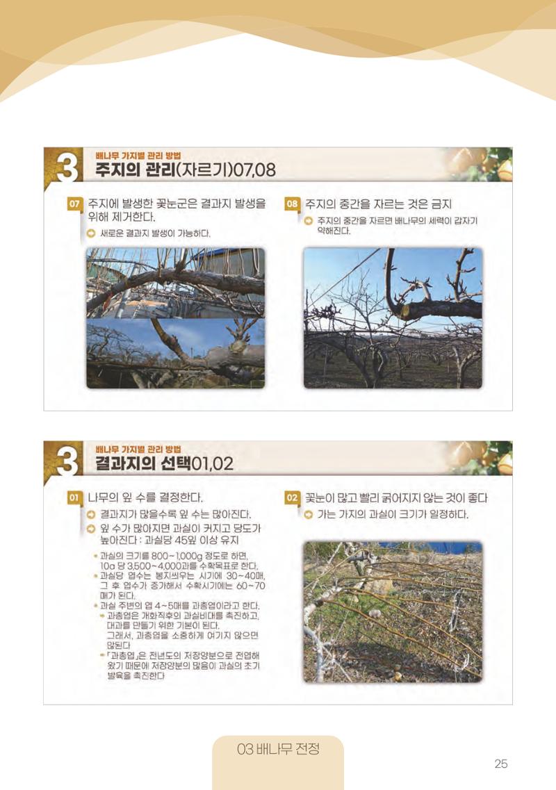 고품질 배 생산 및 수출 교육[2022] 25페이지