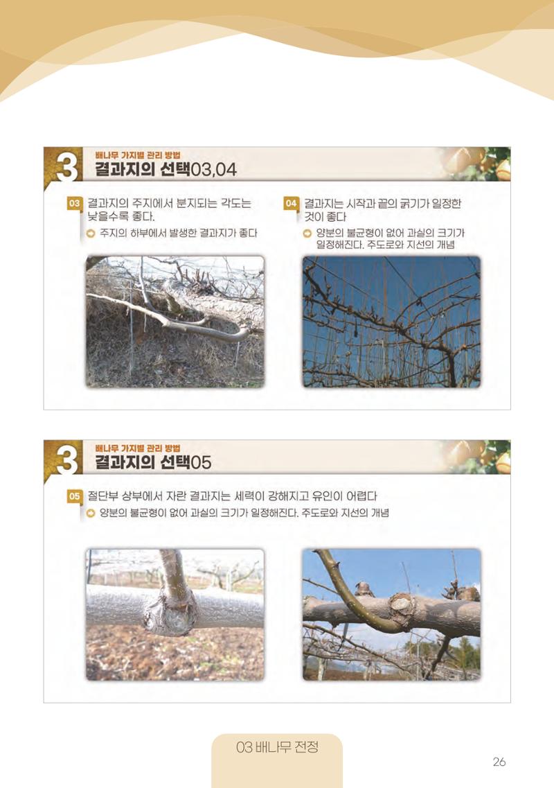고품질 배 생산 및 수출 교육[2022] 26페이지