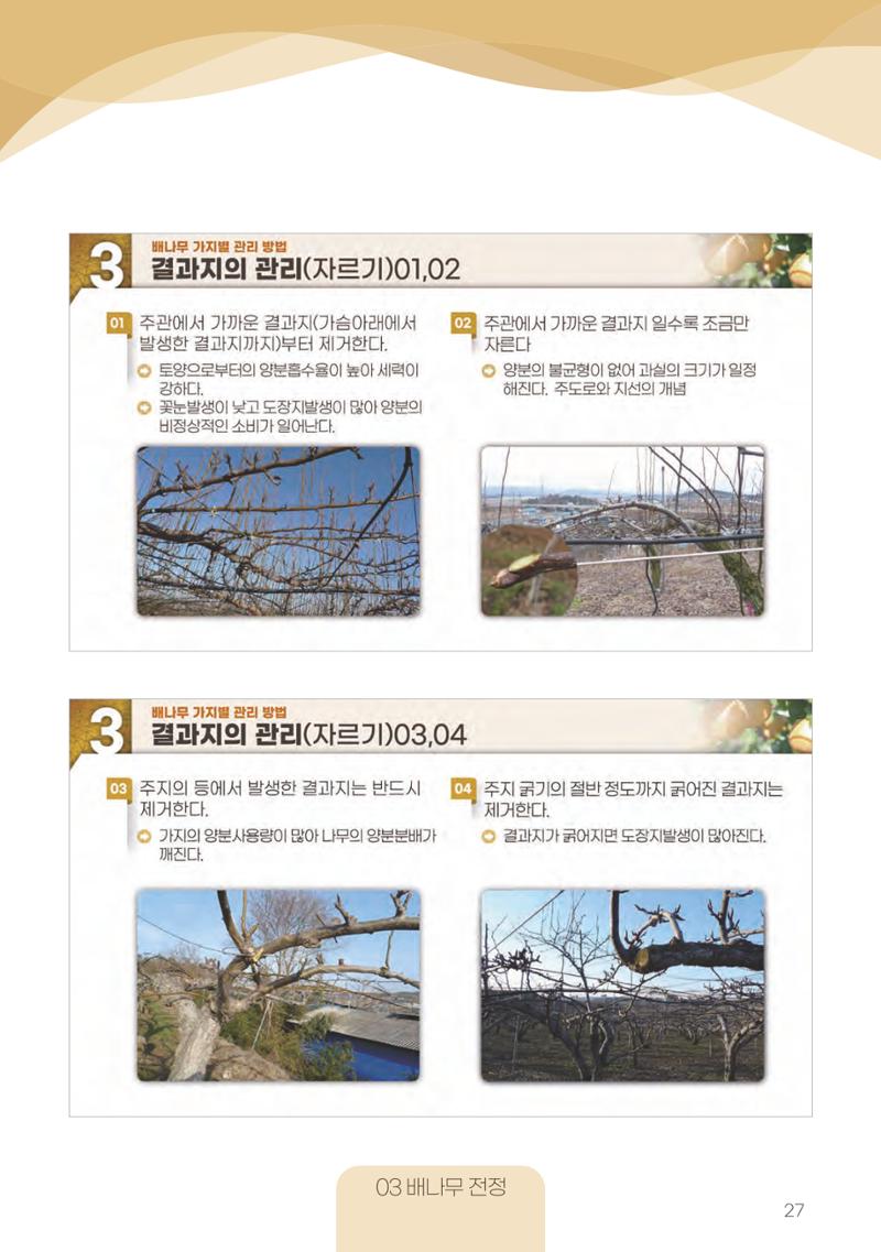 고품질 배 생산 및 수출 교육[2022] 27페이지