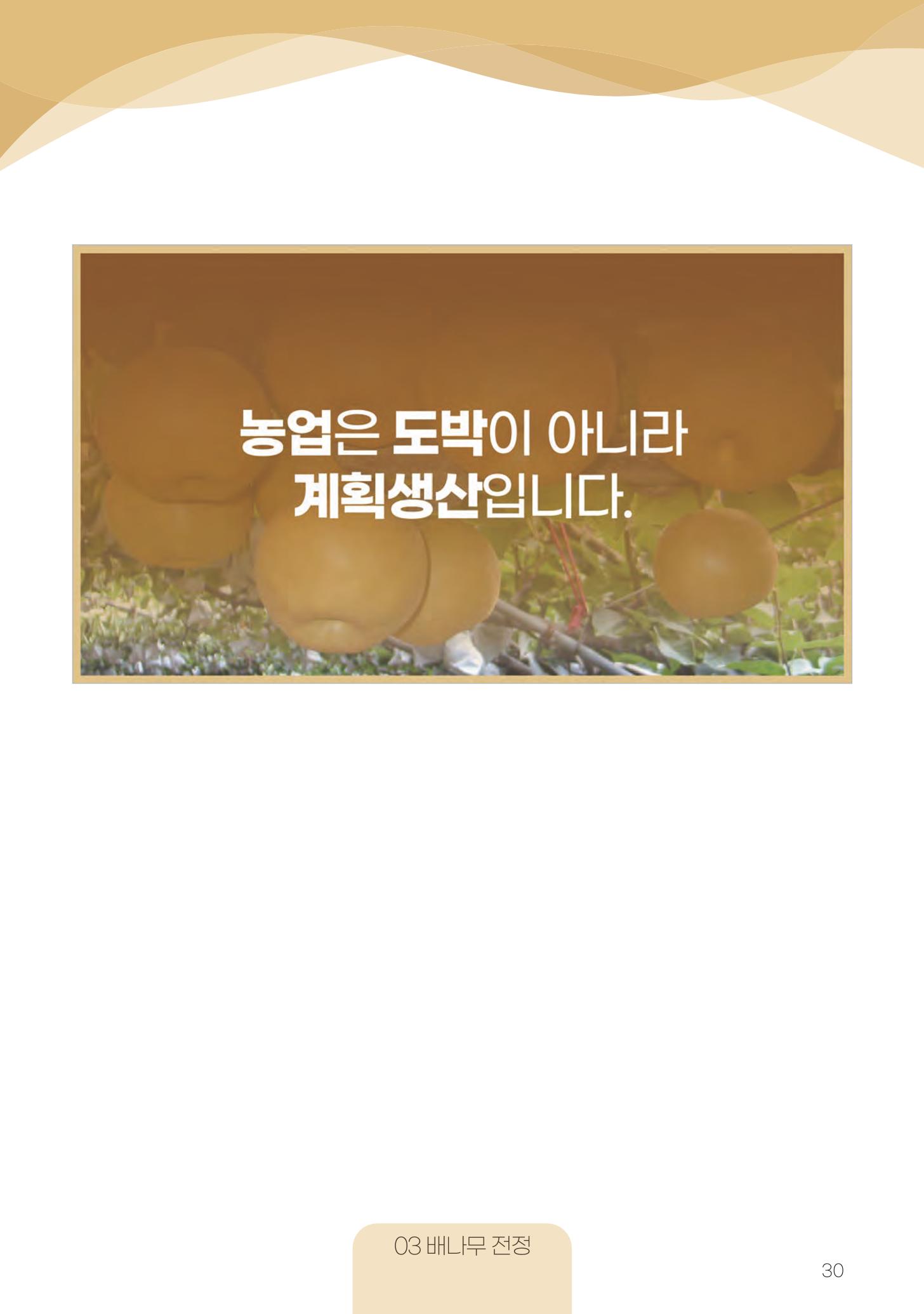 고품질 배 생산 및 수출 교육[2022] 30페이지