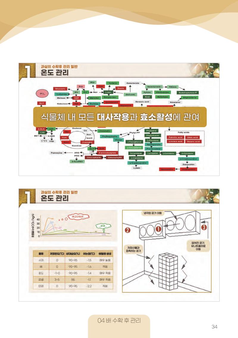 고품질 배 생산 및 수출 교육[2022] 34페이지