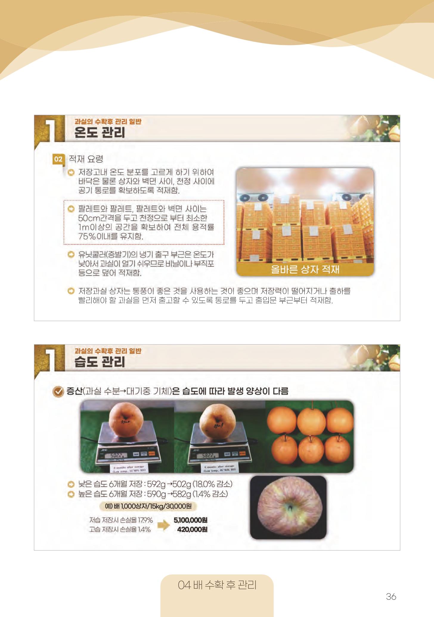 고품질 배 생산 및 수출 교육[2022] 36페이지
