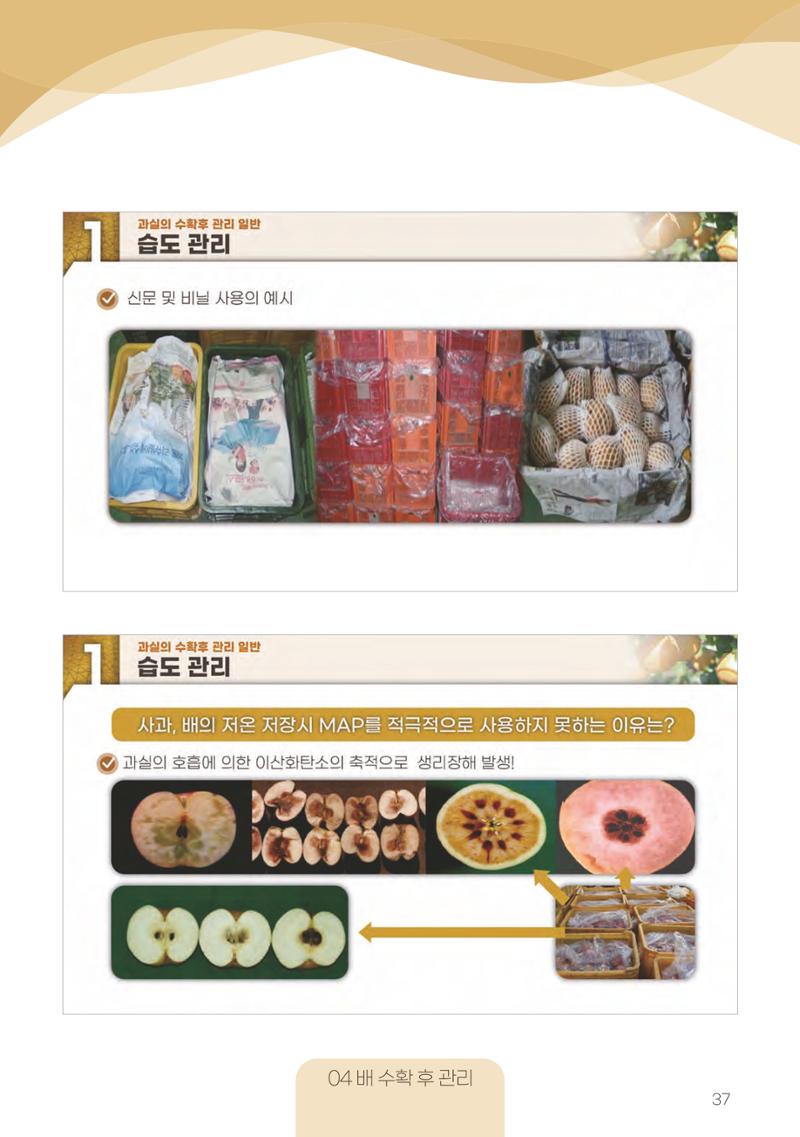 고품질 배 생산 및 수출 교육[2022] 37페이지