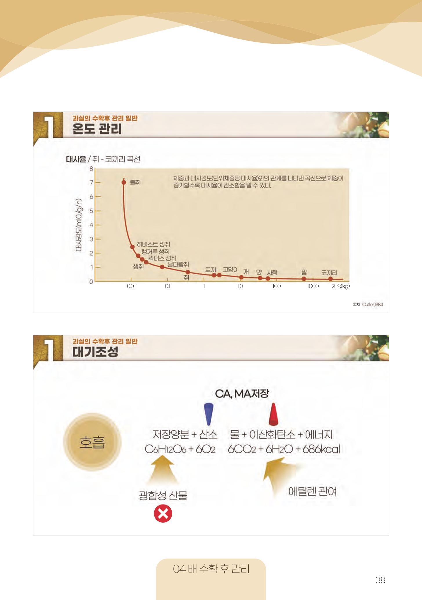고품질 배 생산 및 수출 교육[2022] 38페이지